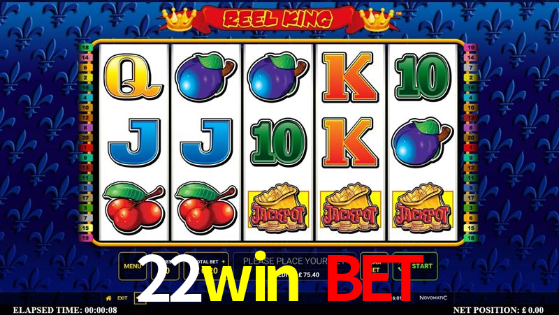 Descubra o Mundo do Cassino Online com 22win bet
